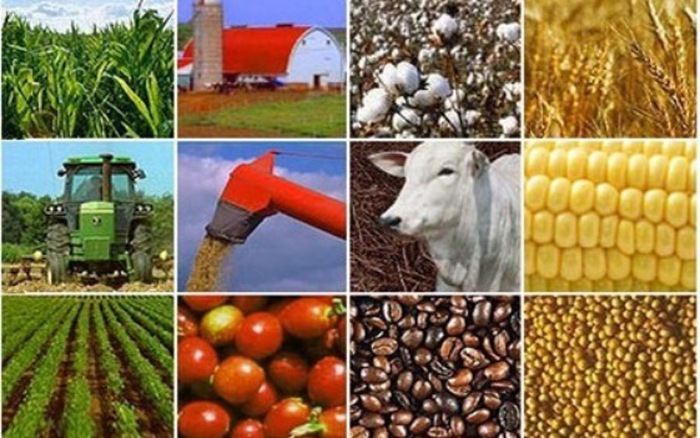 15 tiêu chí đánh giá về cơ cấu lại ngành nông nghiệp