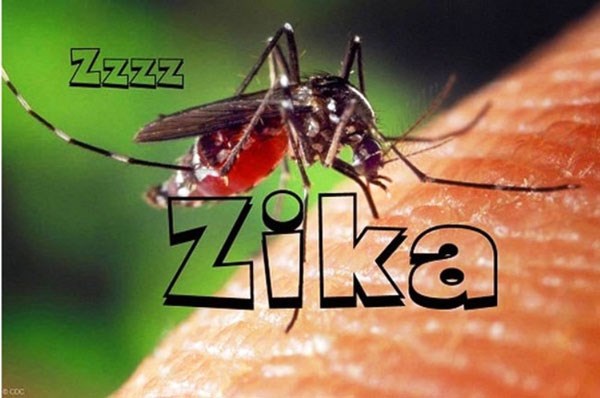 Tài liệu HD giám sát sốt xuất huyết Dengue, Zika và Chikungunya