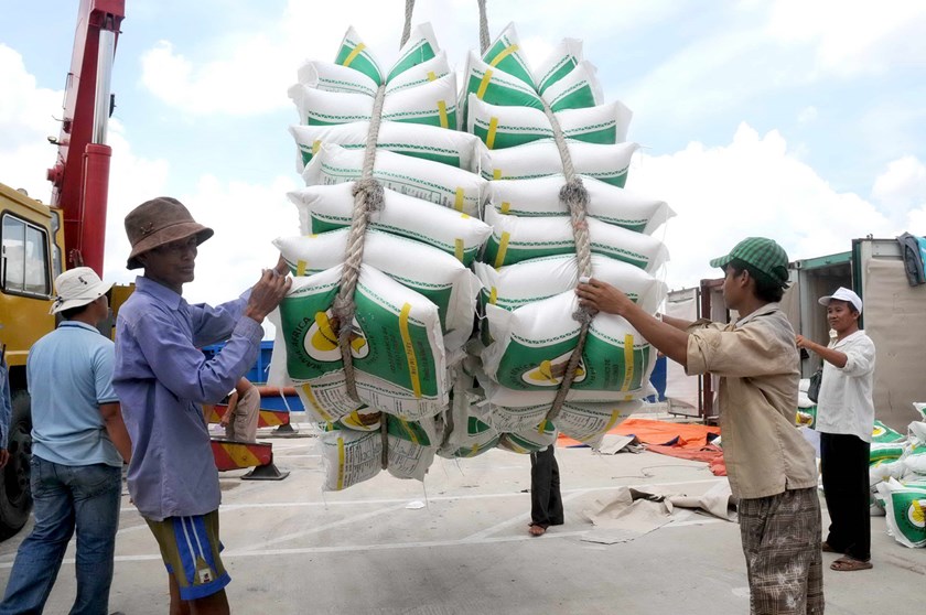 Định hướng xuất khẩu gạo Việt Nam trên thị trường quốc tế