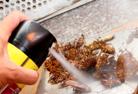 31 hoạt chất cấm sử dụng trong diệt côn trùng, diệt khuẩn