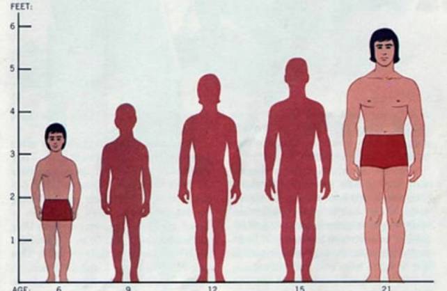 Năm 2020: Tăng chiều cao của người trưởng thành thêm 1 - 1,5 cm
