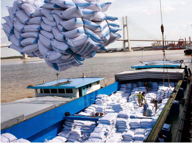Ai được quyền kinh doanh xuất khẩu gạo?