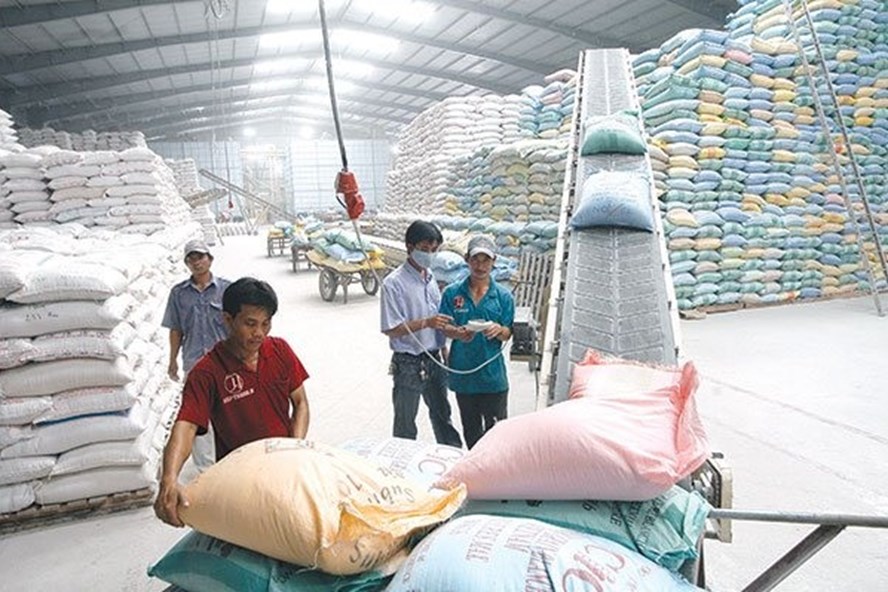 Tiêu chí xác định thương nhân đầu mối trong hợp đồng xuất khẩu gạo tập trung