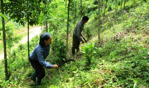 Giao rừng cho cộng đồng dân cư thôn 