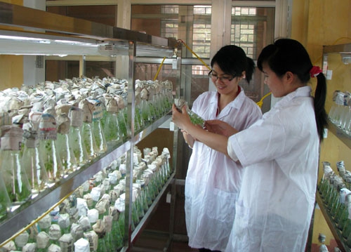 Sửa đổi ĐK đối với tổ chức thực hiện khảo nghiệm thuốc bảo vệ thực vật