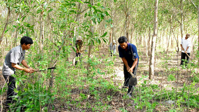 Hướng dẫn thực hiện dự án trồng, bảo vệ rừng của tổ chức do Nhà nước thành lập