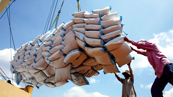 Cơ chế đầu mối luân phiên về kinh doanh xuất khẩu gạo