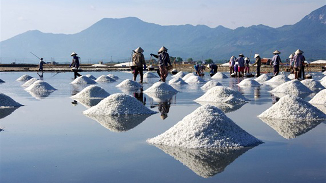 Khuyến khích ứng dụng khoa học và công nghệ vào sản xuất kinh doanh muối