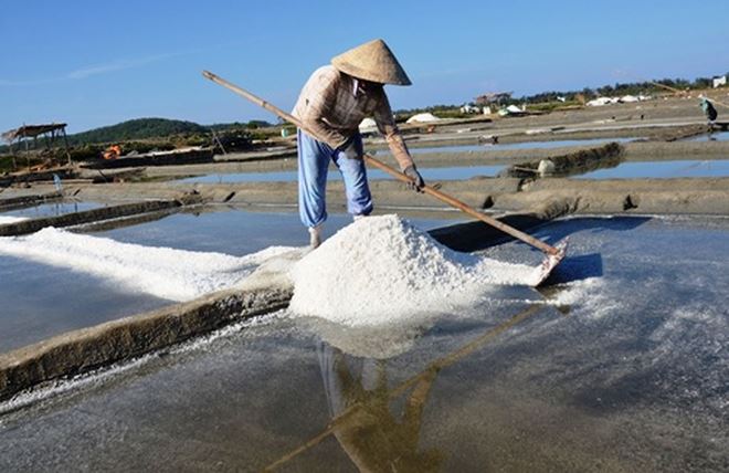 Nội dung quản lý nhà nước về sản xuất kinh doanh muối