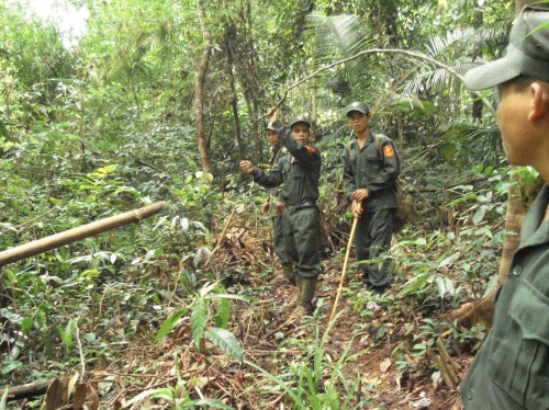 Trang phục của lực lượng bảo vệ rừng chuyên trách gồm những gì?