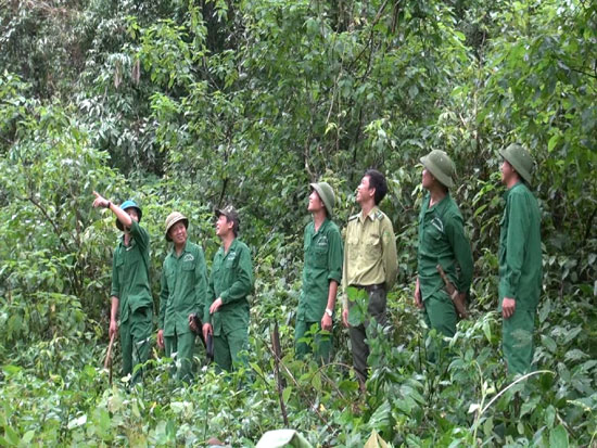 Ai có trách nhiệm tổ chức tập huấn nghiệp vụ quản lý bảo vệ rừng?