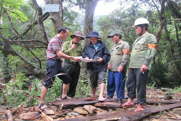 Những nội dung cơ bản về tập huấn chuyên môn, nghiệp vụ bảo vệ rừng