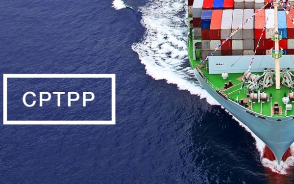 Hiệp định CPTPP “tác động” đến các Bộ luật, Luật của Việt Nam