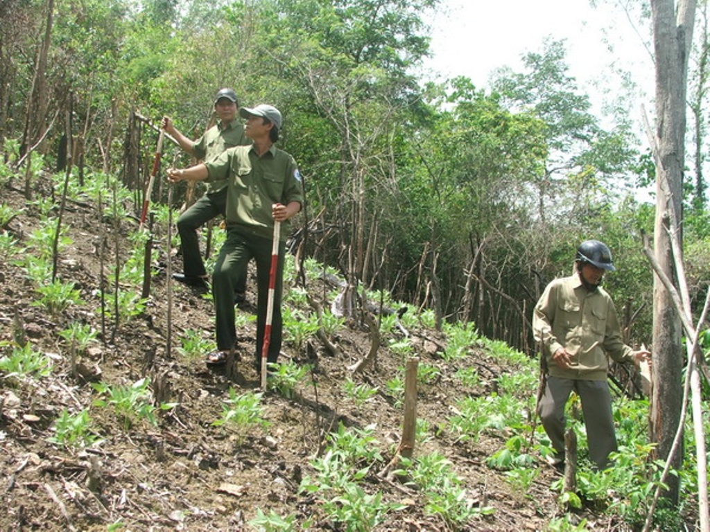 Thành lập, giải thể Ban quản lý rừng đặc dụng