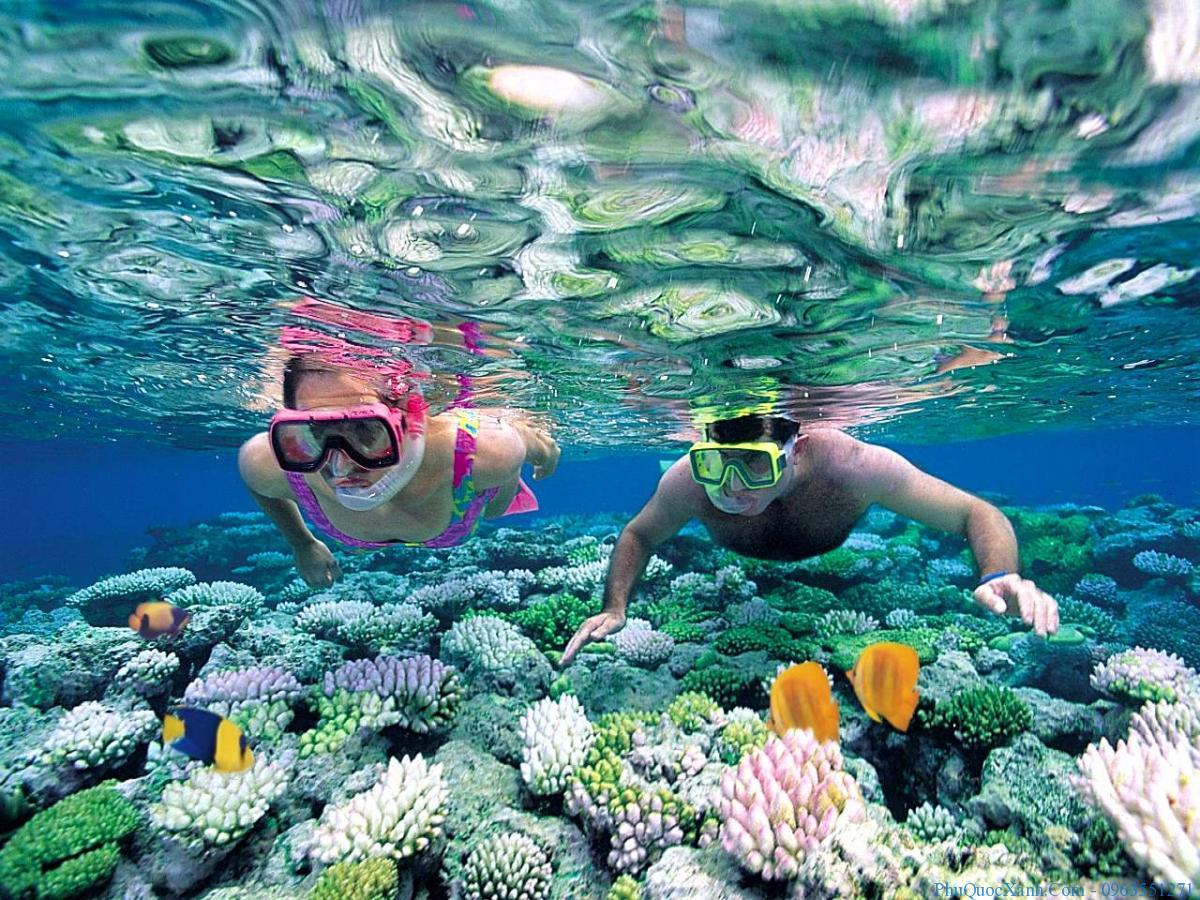 Cơ sở vật chất cần phải có đối với môn lặn biển