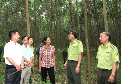 Sử dụng tiền đối với Quỹ Bảo vệ và phát triển rừng Việt Nam