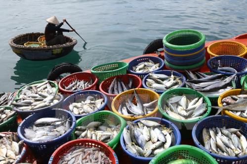 Hướng dẫn đánh giá nguồn lợi và môi trường sống thủy sản