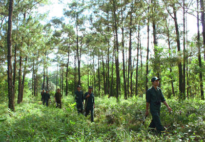 Nhiệm vụ, quyền hạn của Lực lượng chuyên trách bảo vệ rừng