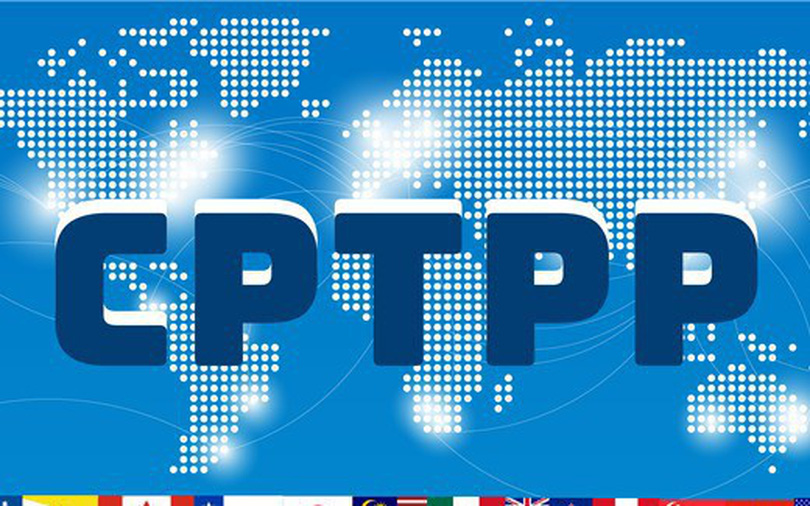 Thông tư 03/2019/TT-BCT: Hướng dẫn kê khai C/O mẫu CPTPP