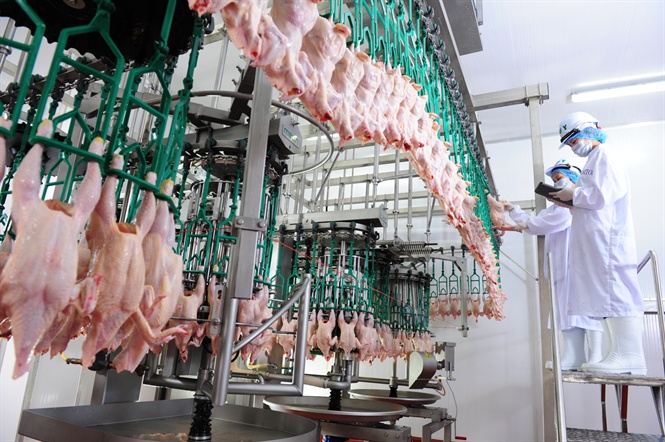 Quy định mới về kiểm dịch sản phẩm động vật nhập khẩu