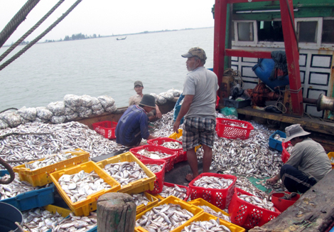 Mức phí sử dụng dữ liệu nguồn lợi hải sản là bao nhiêu?