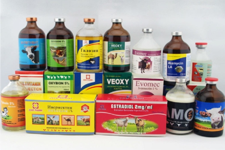 Trường hợp nào thuốc thú y được miễn khảo nghiệm?