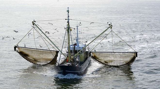 Các biện pháp khắc phục hậu quả trong xử phạt HC lĩnh vực thủy sản