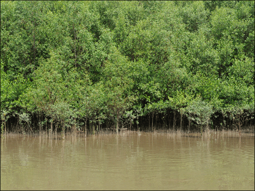 Vietnam: Compilation of criteria for the sensitivity level of marine environments