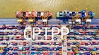 Hot: Đã có File Excel Biểu thuế xuất khẩu ưu đãi thực hiện Hiệp định CPTPP