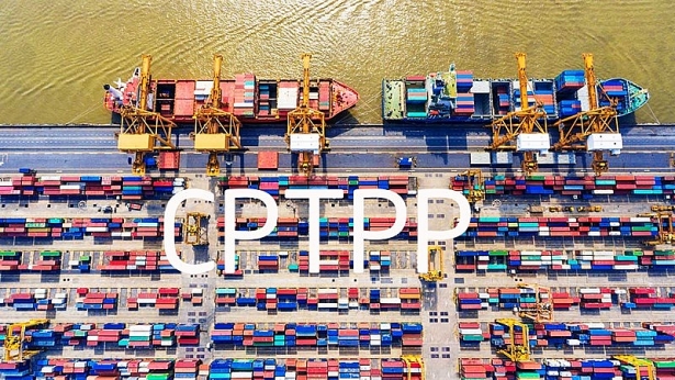 Hot: Đã có File Excel Biểu thuế xuất khẩu ưu đãi thực hiện Hiệp định CPTPP