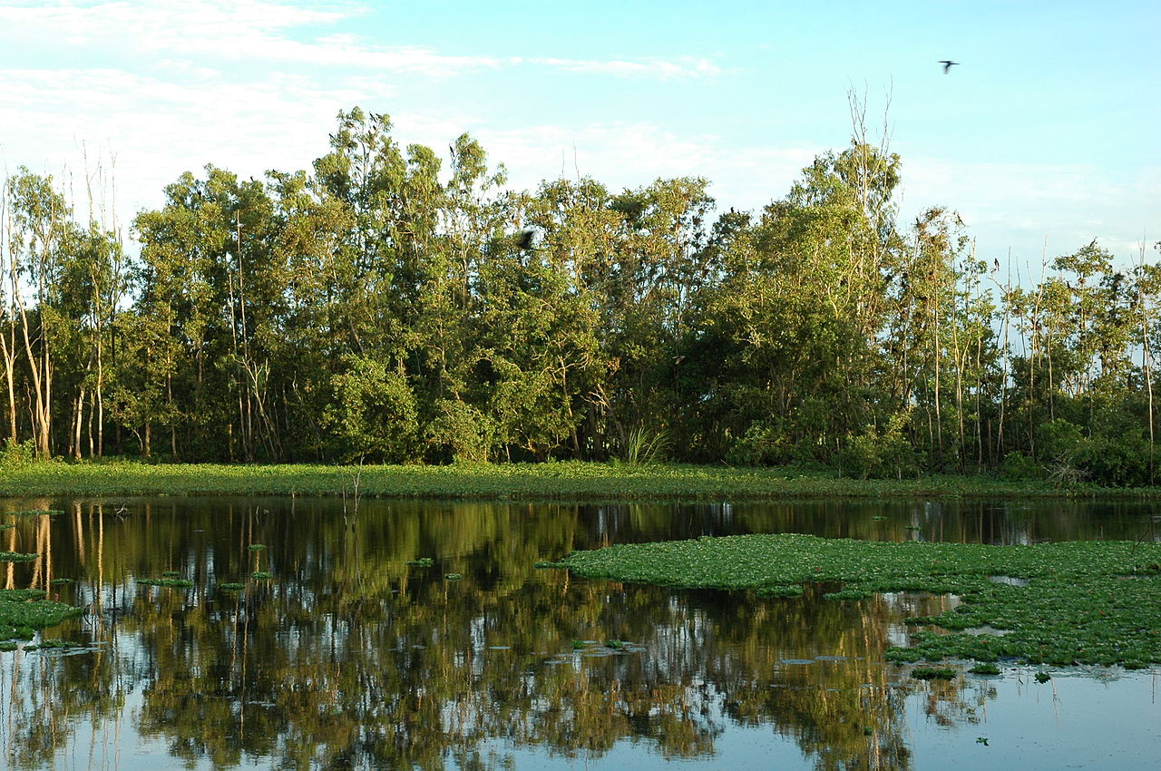 Quy định mới: Tiêu chí xác định vùng đệm của khu bảo tồn đất ngập nước