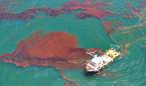 Cơ quan nào cấp GCN bảo hiểm trách nhiệm dân sự về tổn thất ô nhiễm dầu?