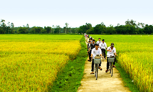 05 ND đánh giá nghiệm thu Chương trình Nông thôn miền núi cấp tỉnh