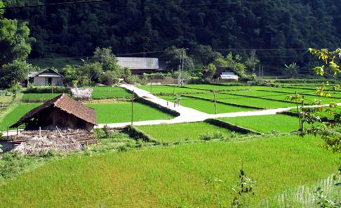 Thời hạn đánh giá nghiệm thu dự án chương trình Nông thôn miền núi