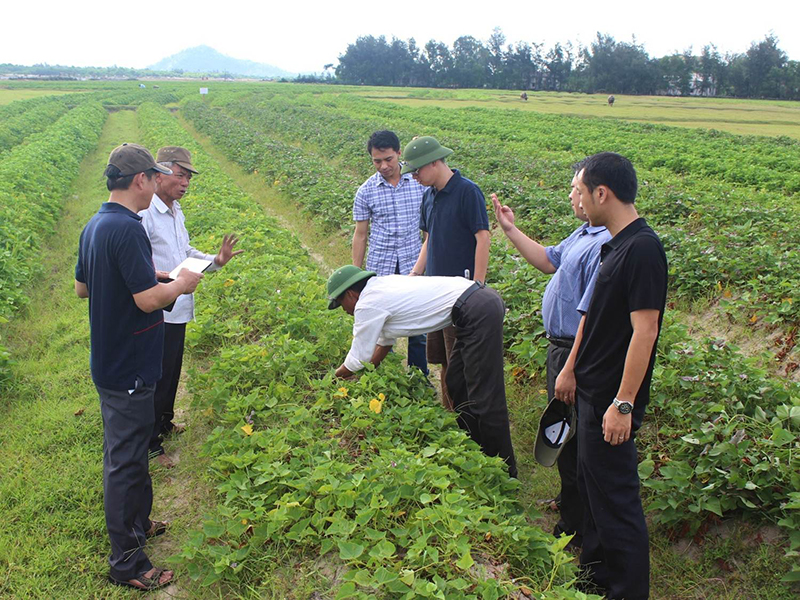 Hướng dẫn đánh giá kết quả thực hiện chương trình Nông thôn miền núi