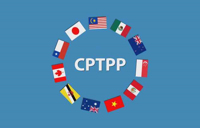 Quy trình thủ tục và hồ sơ cấp C/O mẫu CPTPP mới nhất