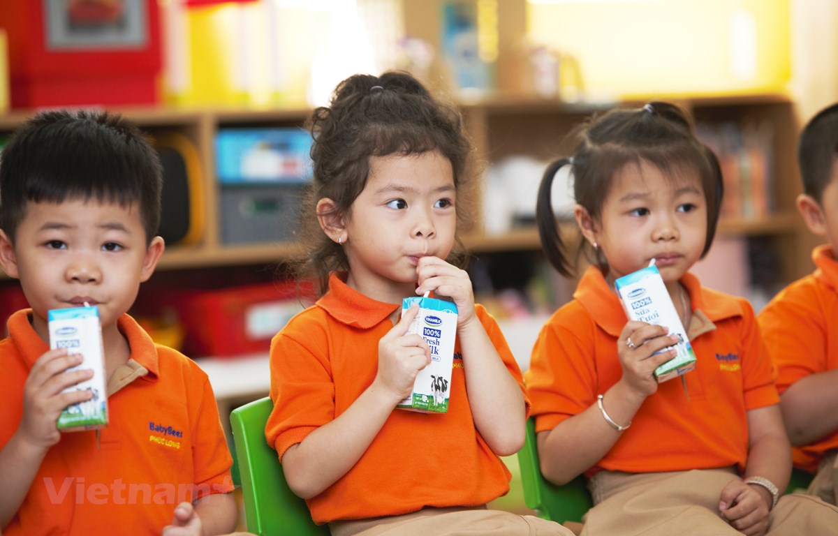 Quản lý sữa tươi trong Chương trình Sữa học đường cần đáp ứng yêu cầu gì