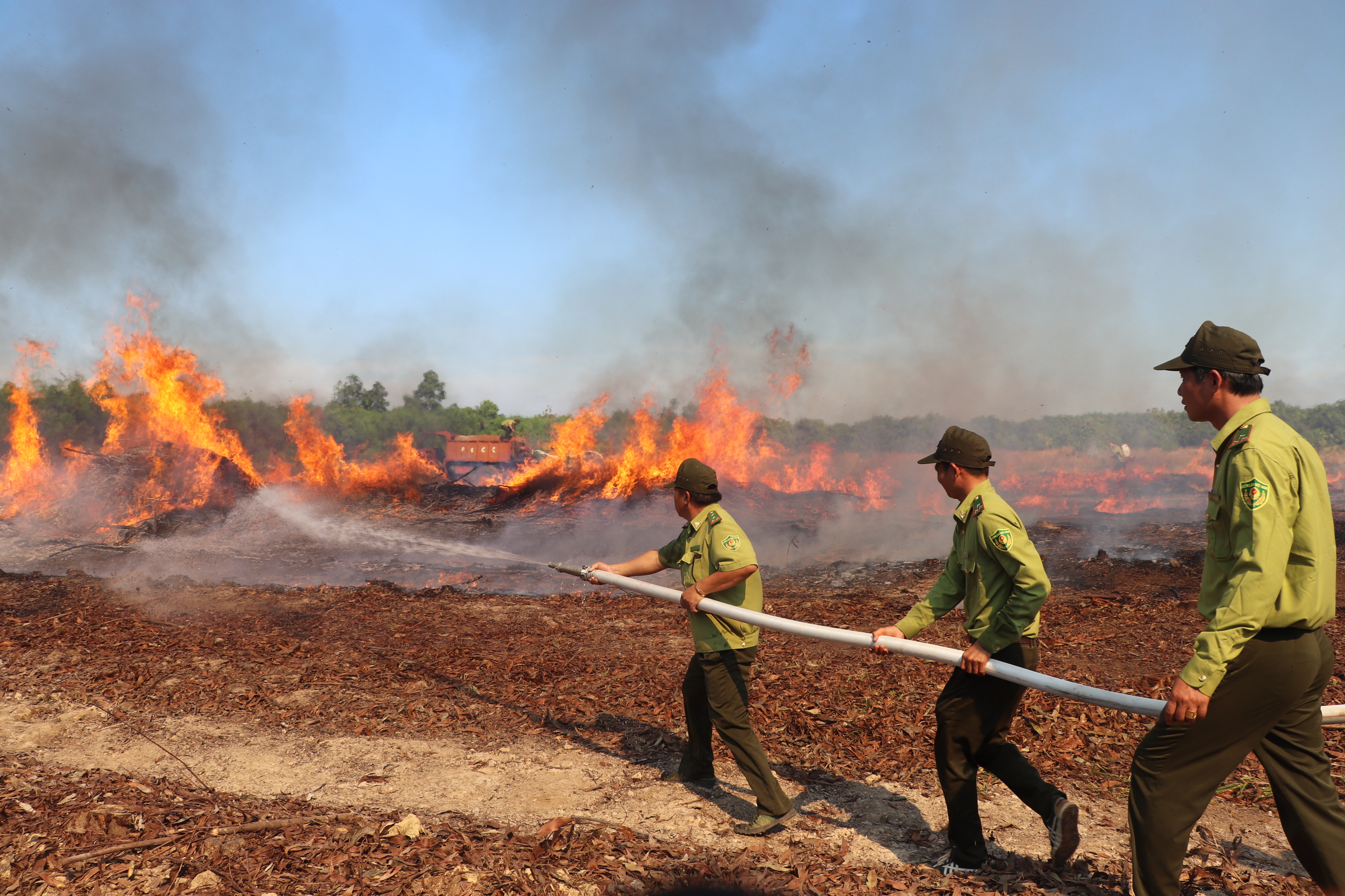 Thông tư 25: Hướng dẫn về việc tiếp nhận, xử lý thông tin cháy rừng