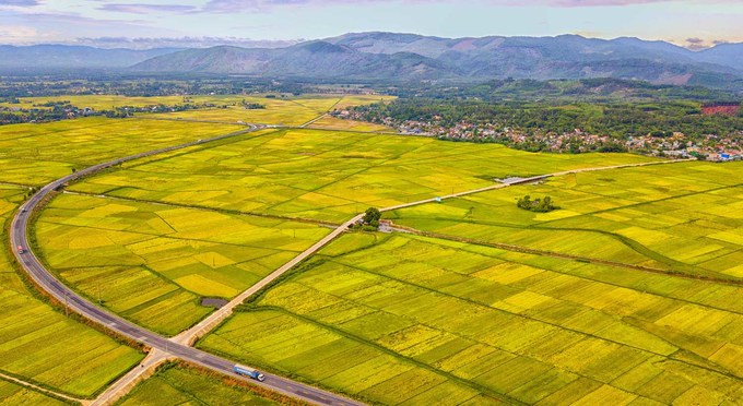 Thu tiền bảo vệ, phát triển đất trồng lúa để chi cho mục đích gì?