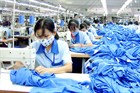 Phạt đến 150 triệu đồng nếu DN không trả sổ BHXH cho NLĐ nghỉ việc