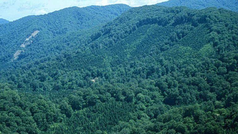 Kiến thức và trách nhiệm phải có của ngành quản lý tài nguyên rừng trình độ CĐ 