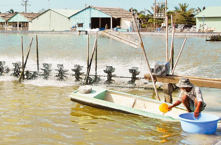 Giới thiệu ngành nuôi trồng thủy sản nước mặn, nước lợ trình độ trung cấp 