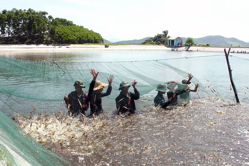 Yêu cầu kỹ năng của ngành nuôi trồng thủy sản nước ngọt trình độ CĐ
