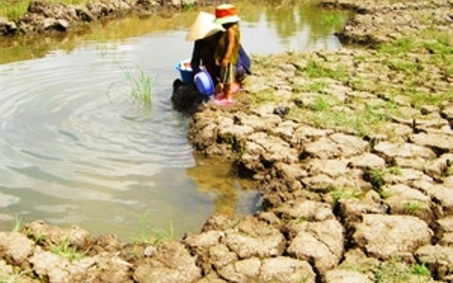 Nội dung quan trắc mặn tại các điểm đo mặn đã được xác định