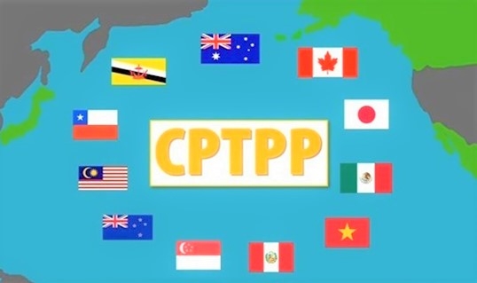 Quy định tiêu chuẩn đánh giá hồ sơ dự thầu về đấu thầu mua sắm CPTPP