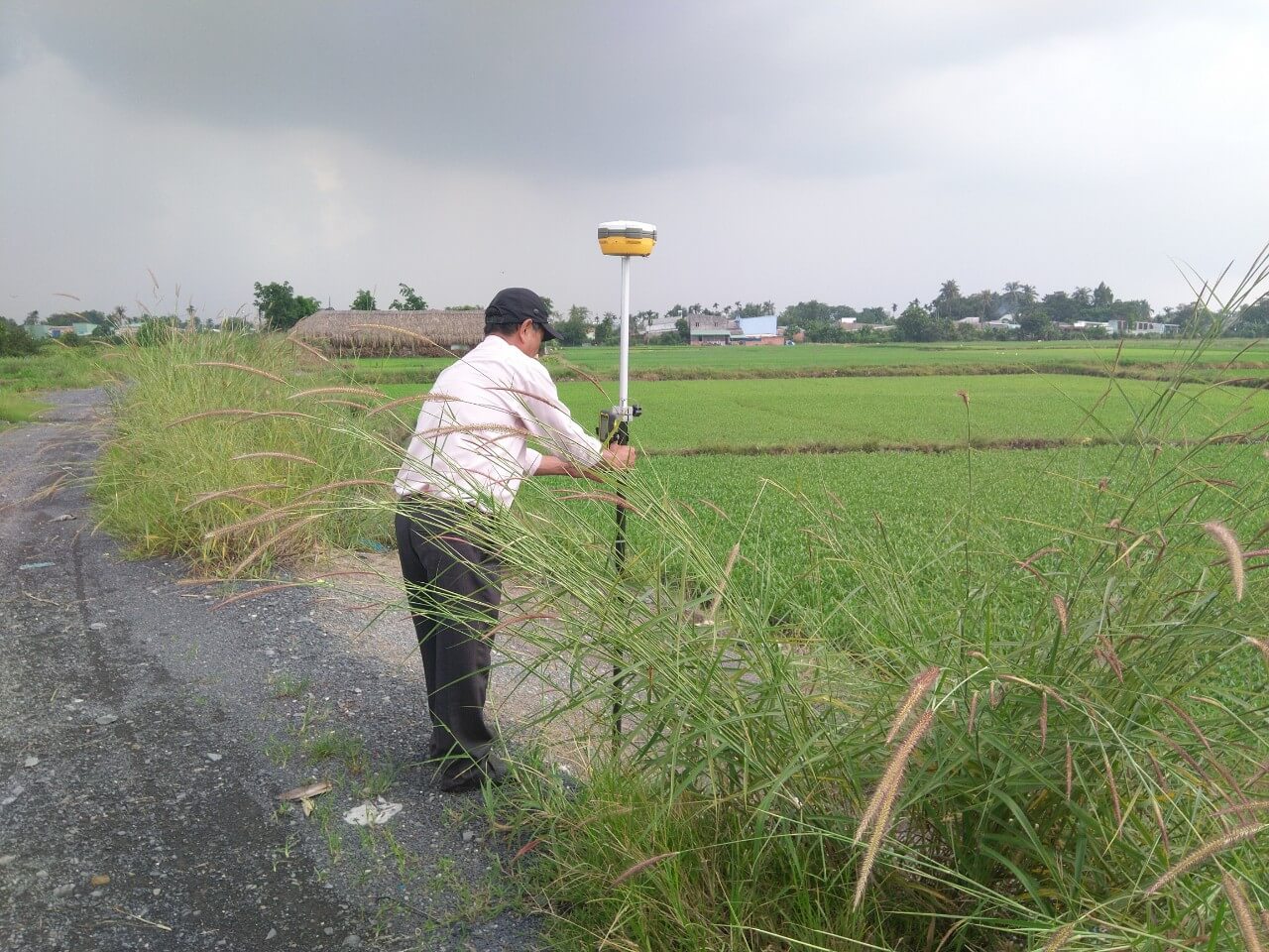 Vietnam: Basis for determining boundaries and area of paddy land