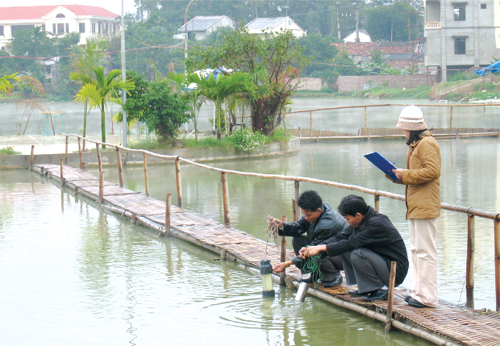 Chế độ quan trắc tài nguyên nước dưới đất được thực hiện theo mùa