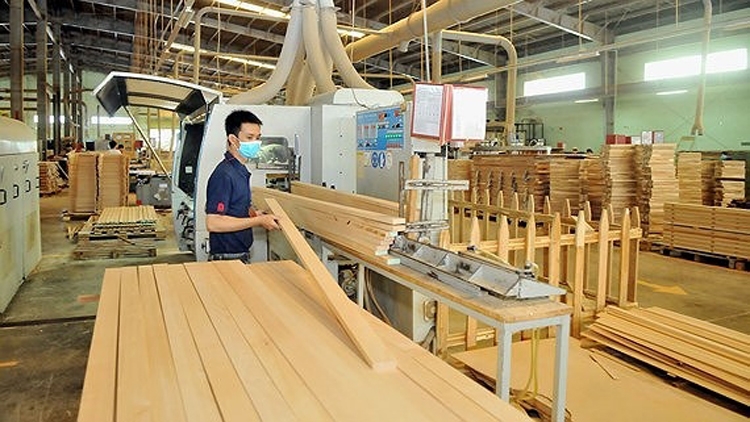 Quy trình phân loại doanh nghiệp có ngành nghề chế biến và xuất khẩu gỗ