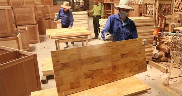 04 tiêu chí xác định loại gỗ rủi ro nhập khẩu vào Việt Nam 