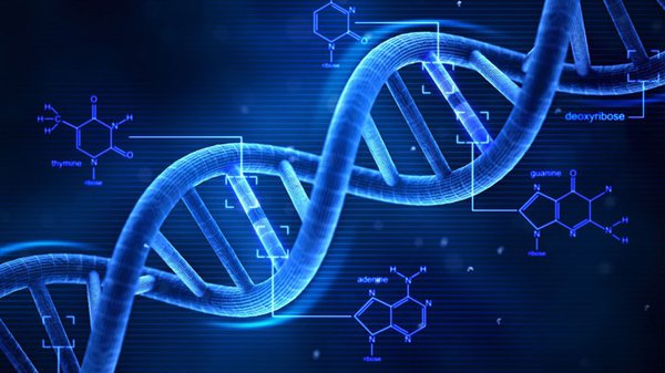 Methods for extracting DNA from animals, plants, and microorganisms in Vietnam